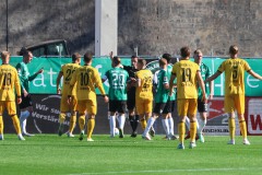 SCP - Dynamo Dresden 2:2. Aufregung nach der aberkannten Führung für Dresden.