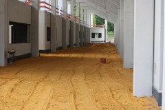 Die Westtribüne am 19. Mai 2025.