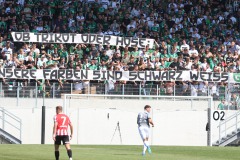 Testspiel-Doppelpack gegen den FC Southampton. Ein bisschen Kritik an Preisen und Trikots des SCP.