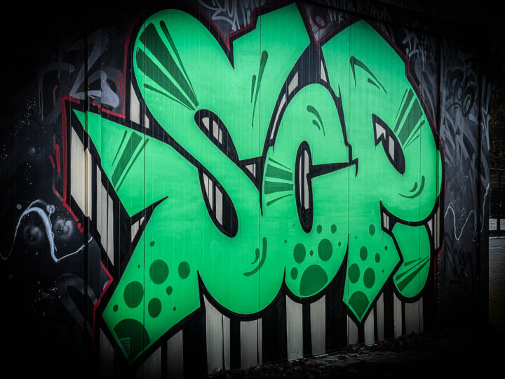 Fangemeinschaft sammelt für die Münster-Tafel