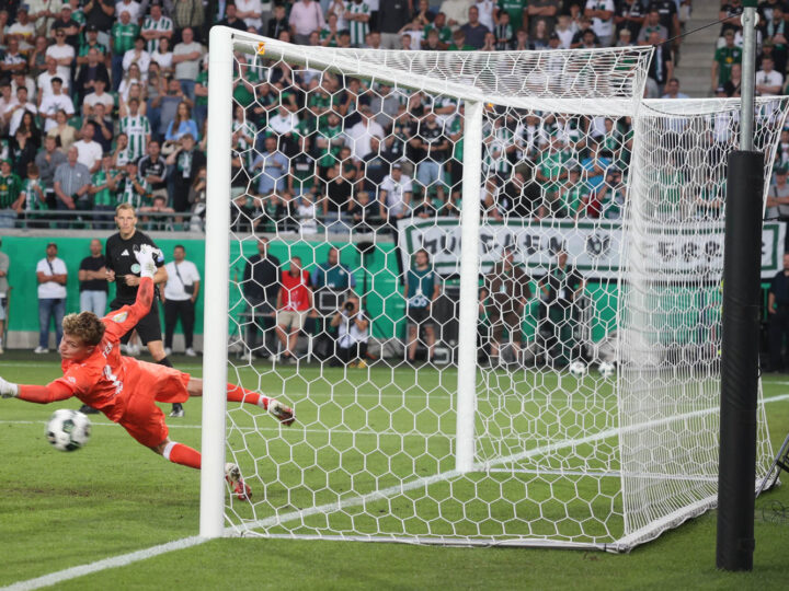 Chancenreich, dominant, ausgeschieden