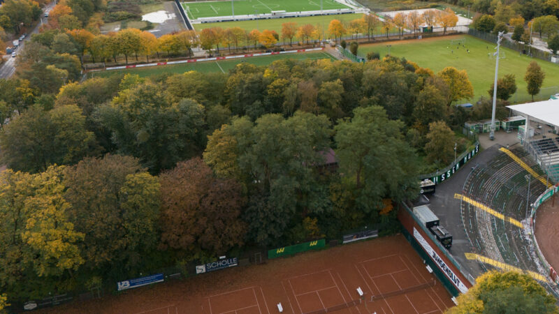 80 Bäume werden am Preußenstadion gefällt